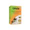 Girnar Cardamom Saffron Chai